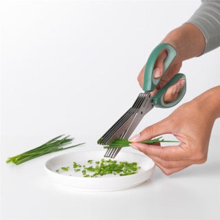 Brabantia savoureux+ ciseaux à herbes avec peigne vert