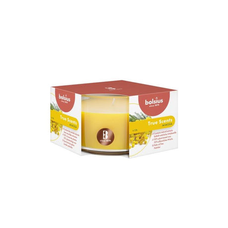 Bougie pilier parfumée Bolsius 50 80 mimosa