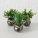 Plante artificielle Boltze home en pot en verre ø13x15cm