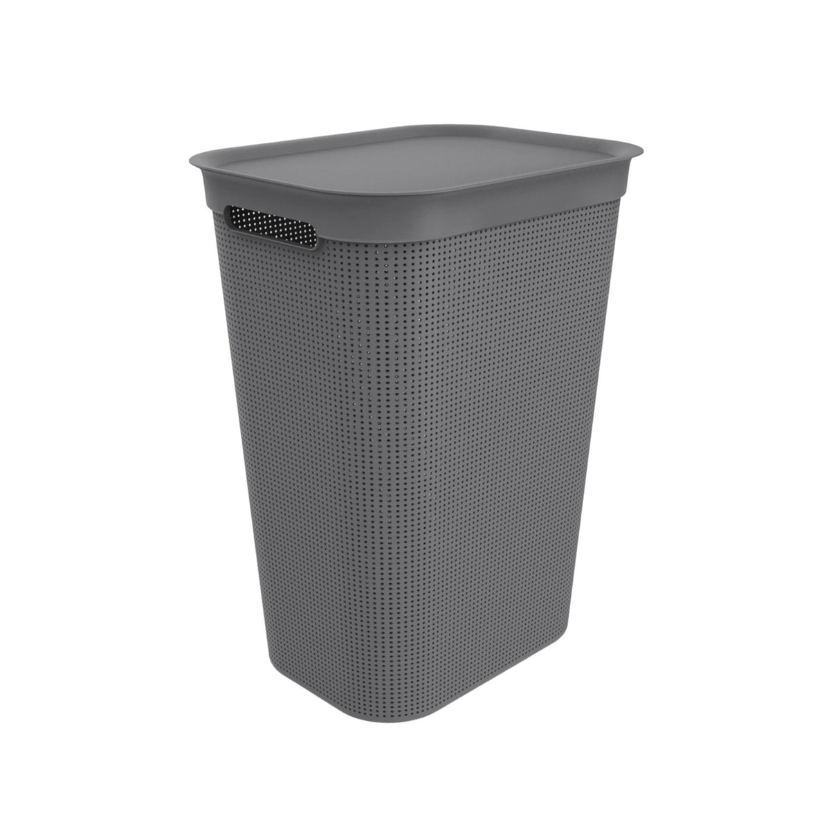 Rotho collecteur de linge brisen 50l anthracite