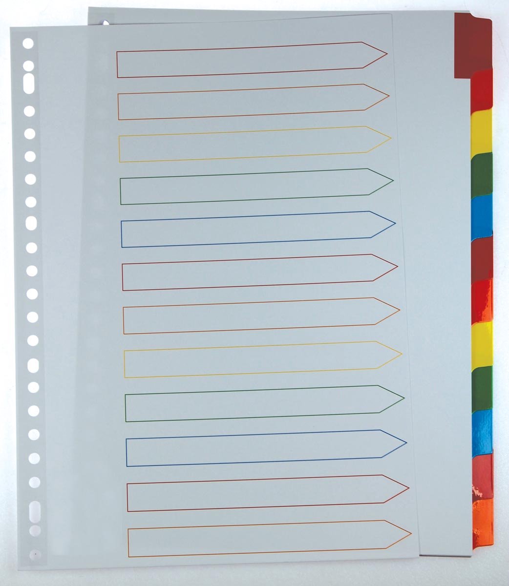 Onglets Pergamy avec feuille d'index | pi a4 | Perforation 11 trous | couleurs assorties | 12 onglets