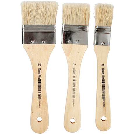 Société créative https : www.ccobby.nl vernis-lacquer-brushes-l-19-cm-b-25-50-mm-flat-3-piece-1-box