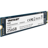 Patriot P300 1 To