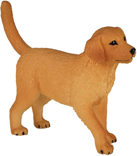 Chiot golden retriever des terres agricoles Mojo - 387205