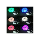 Bande LED intelligente Woox r5093, 5m, 1000lm, RVB polychrome + blanc chaud 1000