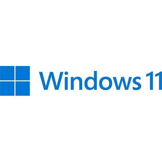 Microsoft fqc-10527 Windows 11 professionnel 64 bits [nl oem DVD]