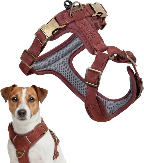 Peluvio Lord - Harnais pour chien en cuir - Taille S - Harnais de protection ergonomique en cuir naturel - Contrôle du confort - Boucles en cuivre durables