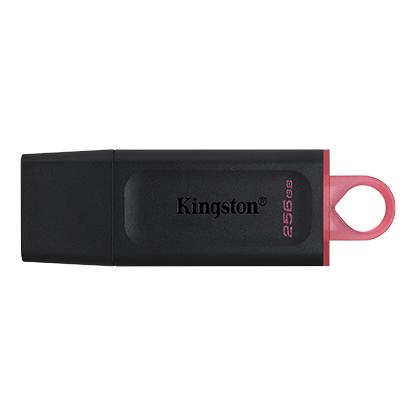 Kingson Datatravereler Exodia 256 GB