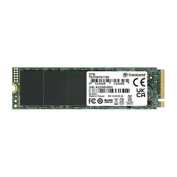 Trascendi MTE115S 250 GB