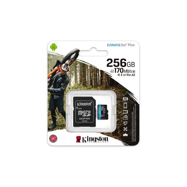 Kingston Canvas vai! Più microSDXC 256 GB