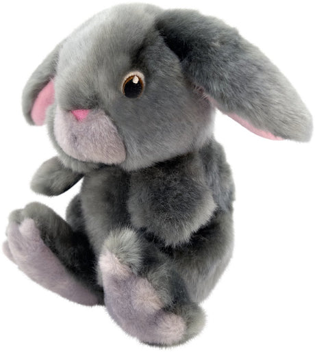 Kong chien Toughz lapin moyen