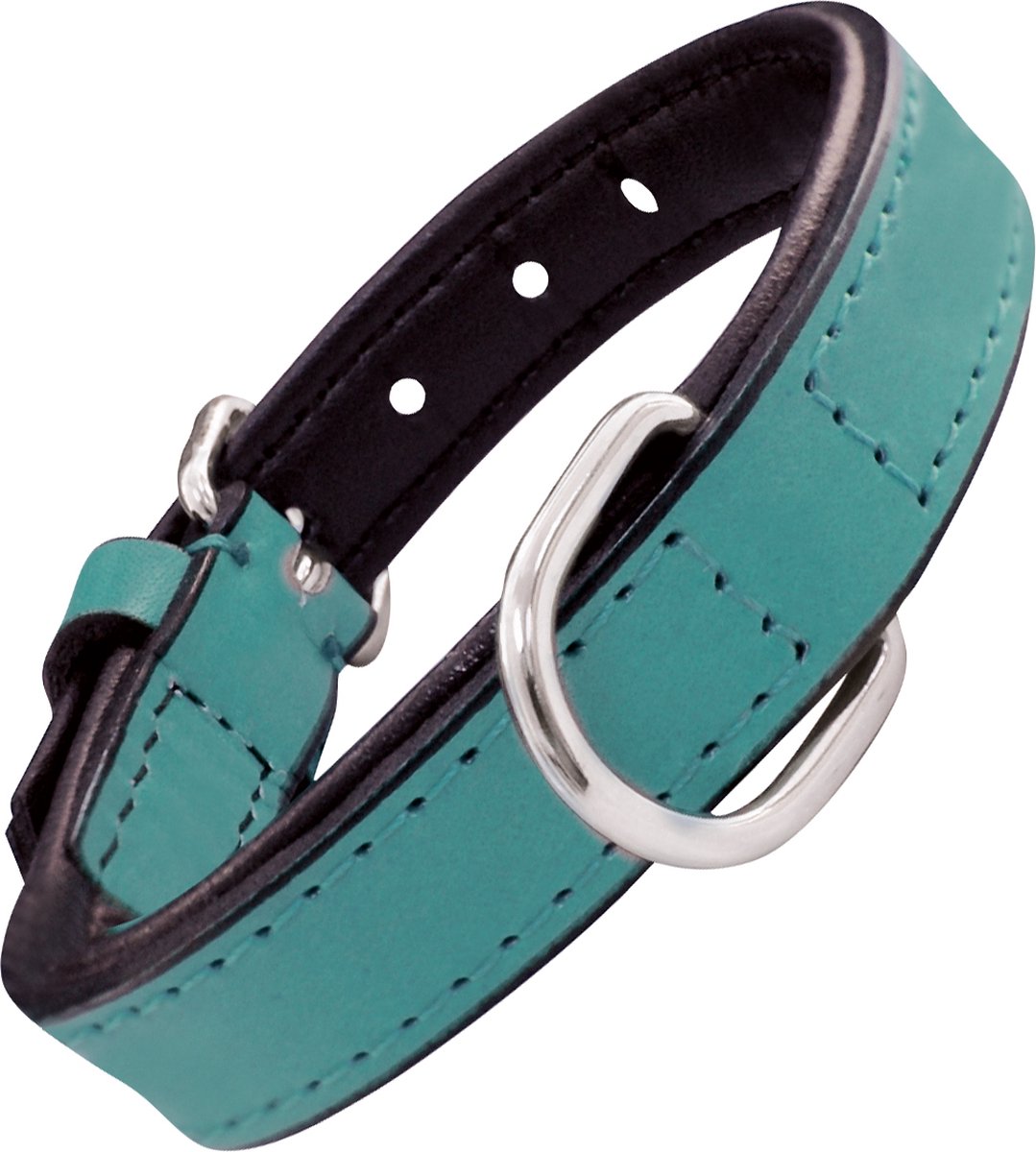 Collier pour chien Gloria rembourré turquoise (35 x 1,5 cm)