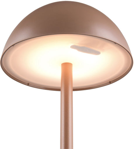 Rl vis ta lumière réalité ricardo - lampe de table - moka - incl. 1x SMD 1,7 W - Touch 4 niveaux - Connexion USB - Éclairage haut et bas - rechargeable - sans fil - éclairage extérieur - IP54