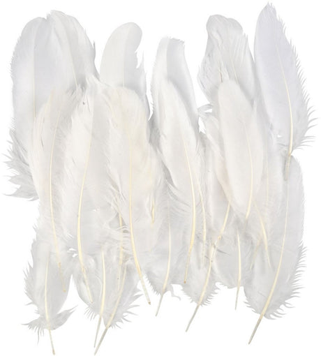 Société créative https: www.ccobby.nl plumes-taille-10-18-blanc-70-pièces-1-sac