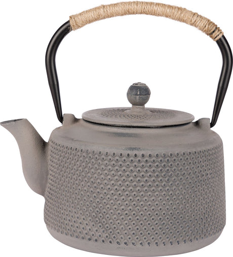 Théière cosy tendance - fonte - 1l5 - gris clair