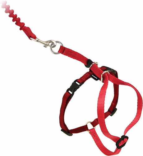 Harnais pour chat Petsafe easy walk avec laisse élastique - harnais pour promener votre chat - rouge ou bleu - s m l - couleur : rouge, taille : petit 23-28 cm