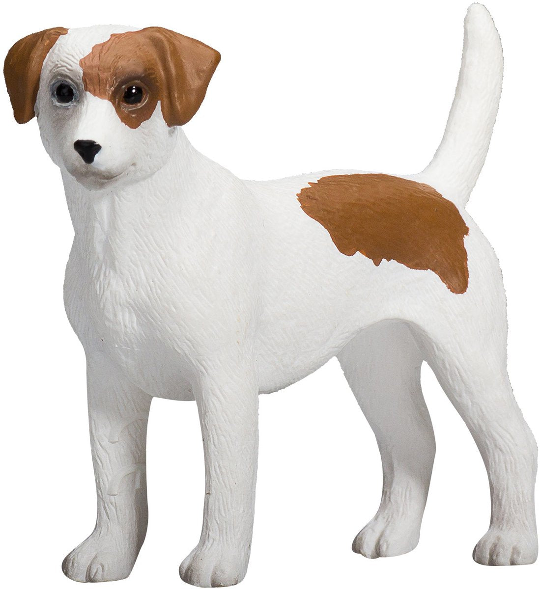 Mojo terres agricoles jack russell terrier - 387286