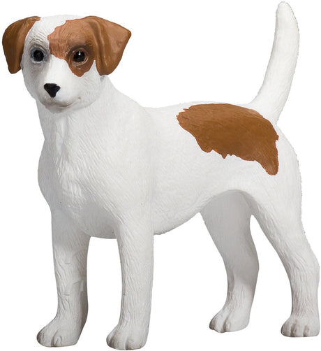 Mojo terres agricoles jack russell terrier - 387286
