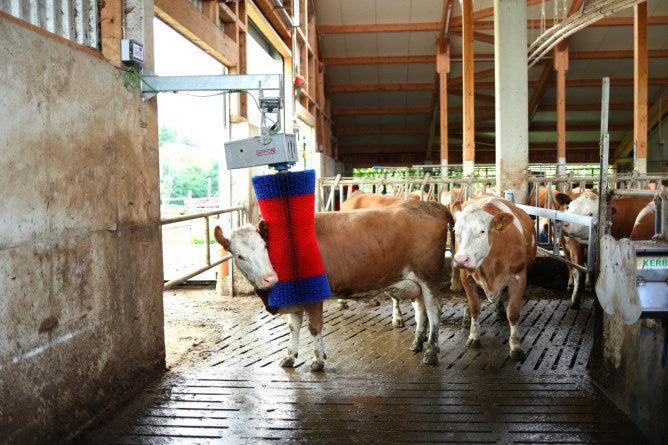 Produits brosse à vaches happycow maxiswing