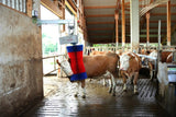 Brosse à vache Happycow maxiswing