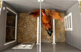 Poulailler eco stable en plastique barney