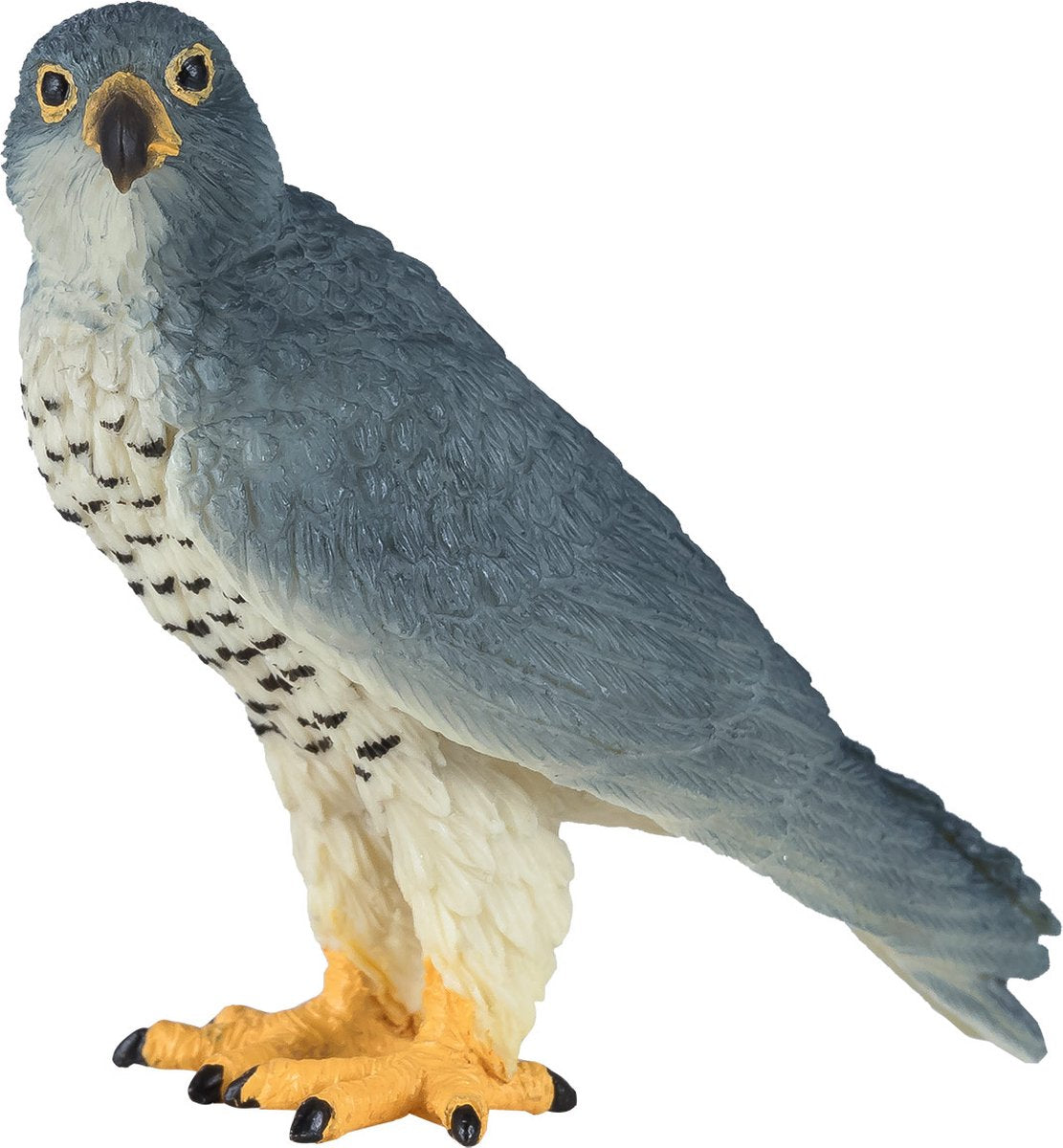 Faucon pèlerin de la faune Mojo - 381056