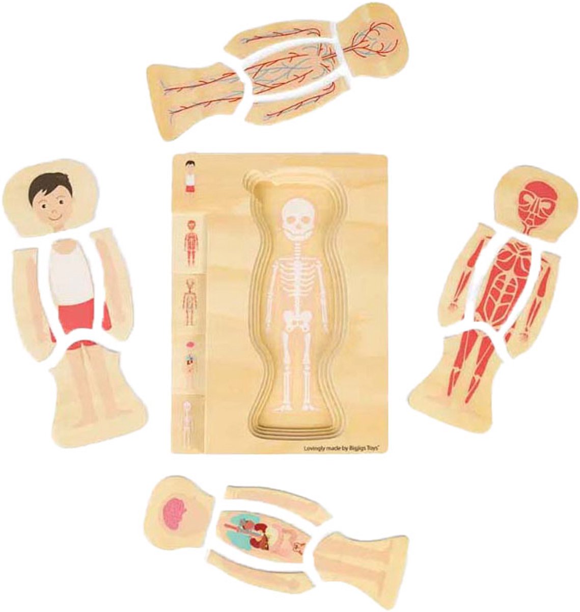 Puzzle d'anatomie en bois Bigjigs - garçon, 26 pcs.
