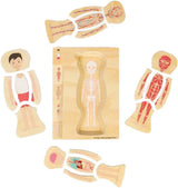 Puzzle d'anatomie en bois Bigjigs - garçon, 26 pcs.