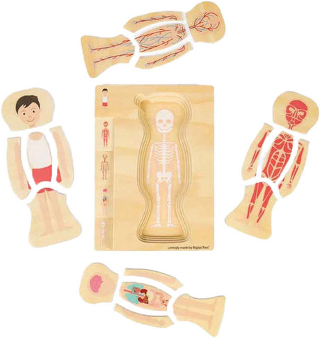 Puzzle d'anatomie en bois Bigjigs - garçon, 26 pcs.