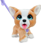 Spectron furreal caca beaucoup de corgi