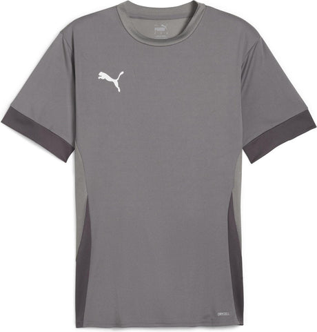 Maillot de sport Puma teamgoal matchday jersey pour homme - fonte - blanc-gris ombre