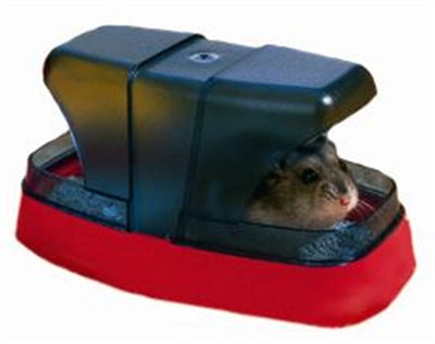 Savesch Hamster Toilette