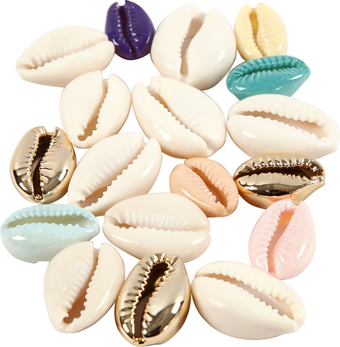 Société créative https : www.ccobby.nl shells-l-20-mm-various-colors-75-piece-1-box