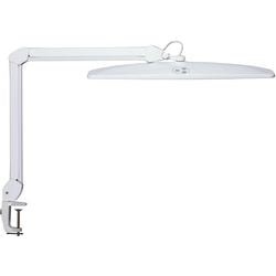 Lampe de bureau maul 8205602 maulexplore blanc