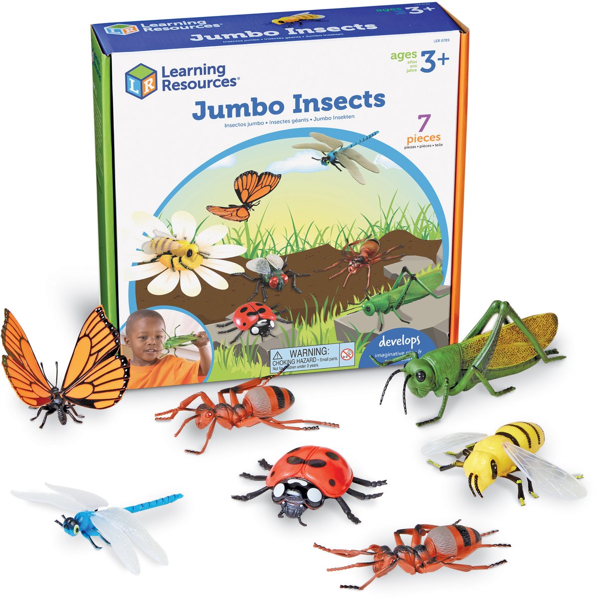 Ressources d'apprentissage sur les insectes géants - 3+