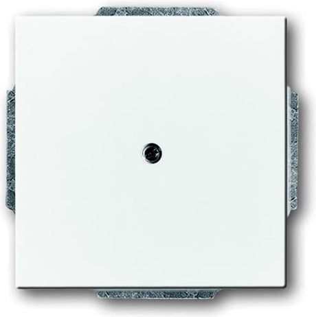 Busch-jaeger abb future solo élément de commande appareillage à plaque centrale - 2cka001710a3161 - e2eyd