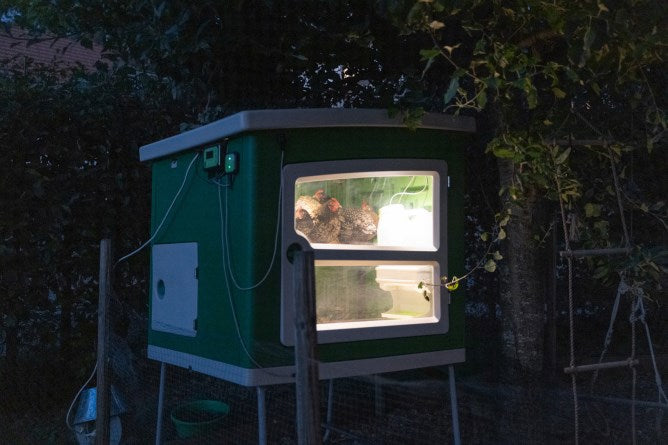 Poulailler en plastique Abi mobilecoop