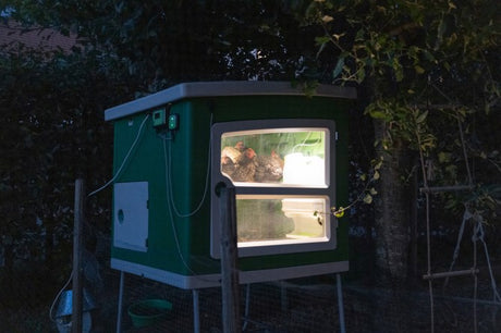 Poulailler en plastique Abi mobilecoop
