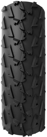 Pneu pliable Vittoria a.dugast small bird c33-622 tlr