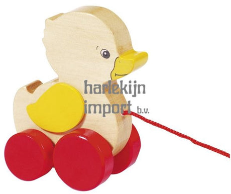 Animal de trait Goki - canard