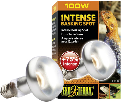 Exo terra lézarder - lampe spot - éclairage terrarium - 100w