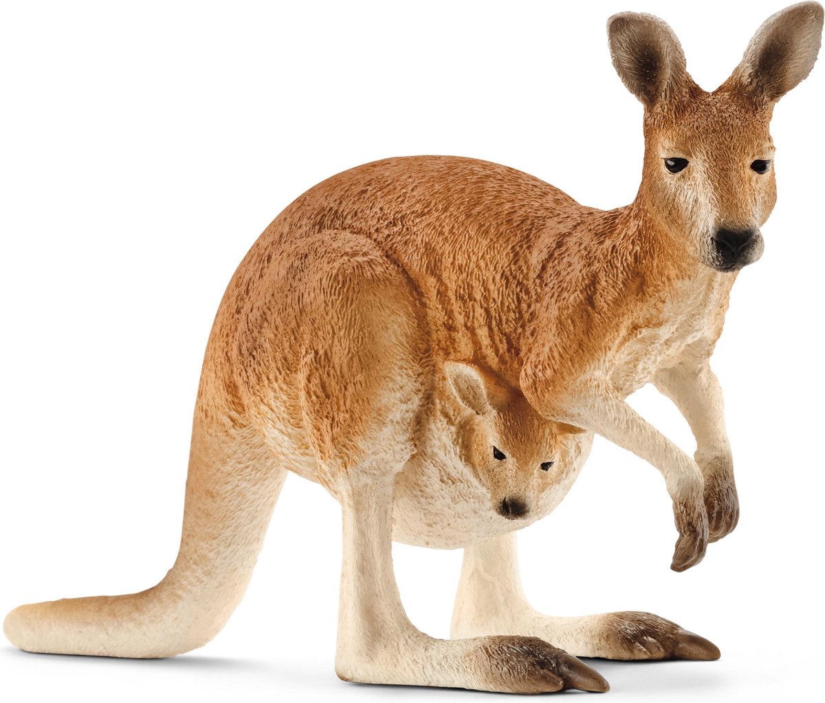 Schleich vie sauvage - kangourou - figurine de jeu - jouets pour enfants pour garçons et filles - 3 à 8 ans - 14756
