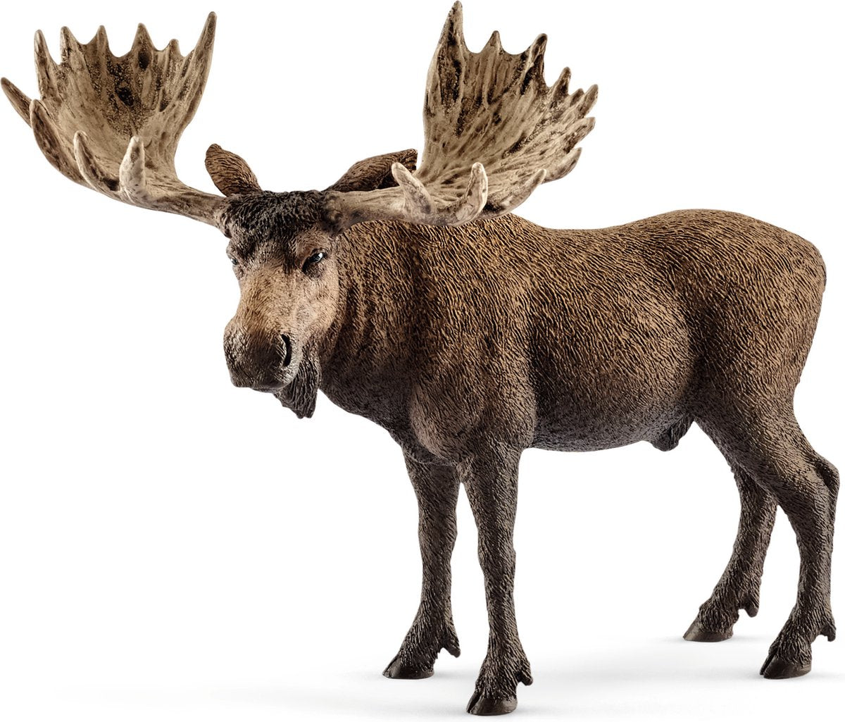 Schleich vie sauvage - taureau d'orignal - figurine de jeu - jouets pour enfants pour garçons et filles - 3 à 8 ans - 14781