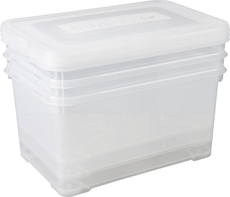 Box de stockage Curver Set Handy 3x50 L Transparent