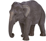 Éléphant d'Asie Mojo Wildlife - 387266