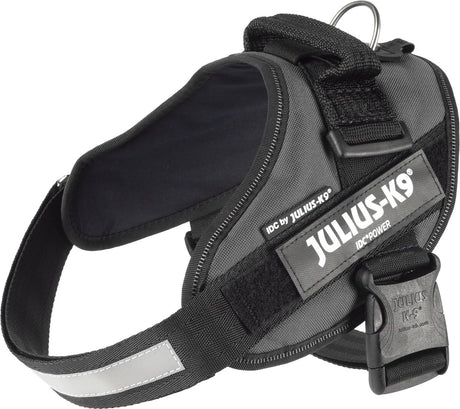 Julius k9 julius-k9 idc®power harnais, m - taille 0, anthracite