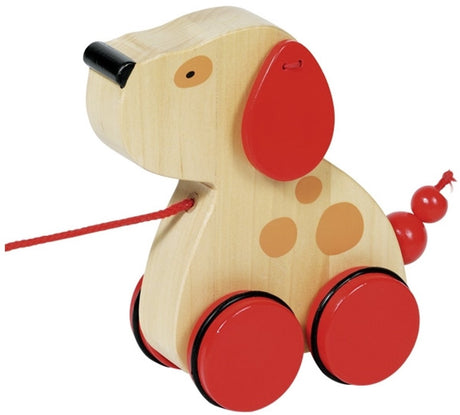 Animal de trait Goki - chien luhna
