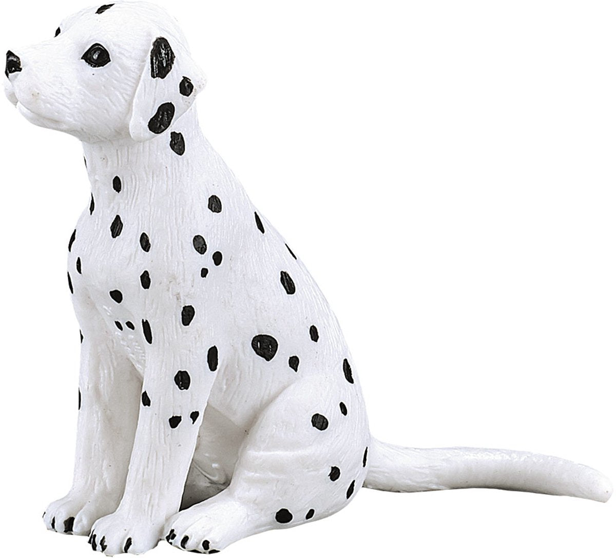 Chiot dalmatien des terres agricoles Mojo - 387249