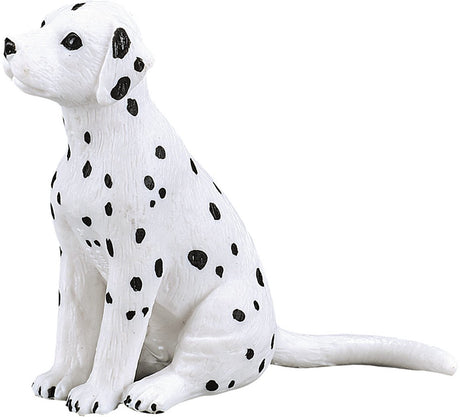 Chiot dalmatien des terres agricoles Mojo - 387249
