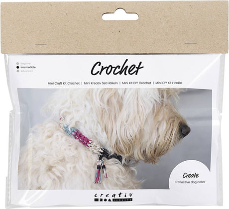 Entreprise créative https: www.cchobby.nl mini-hobbyset-crochet-hondenhalsband-1-doos
